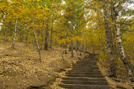 山间小路