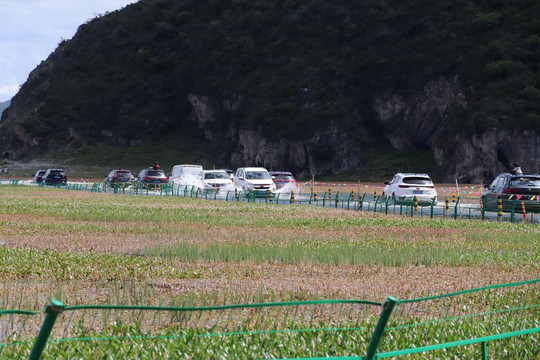 涉水公路