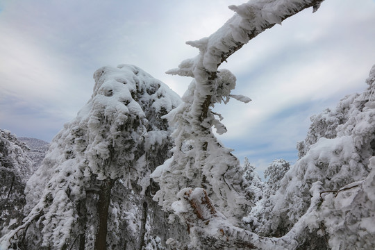 庐山雪景