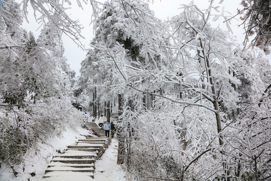 庐山雪景