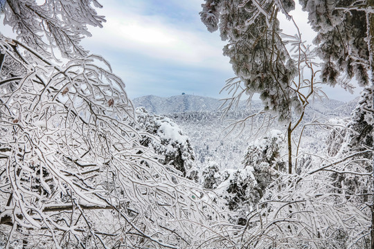 庐山雪景