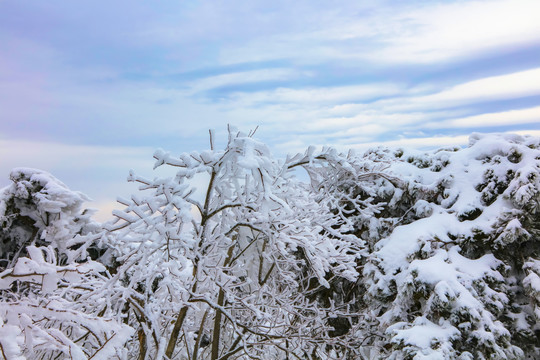 庐山小天池雪景