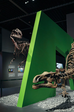 恐龙展览恐龙化石恐龙蛋骨架