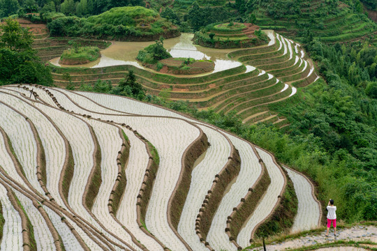 龙胜梯田