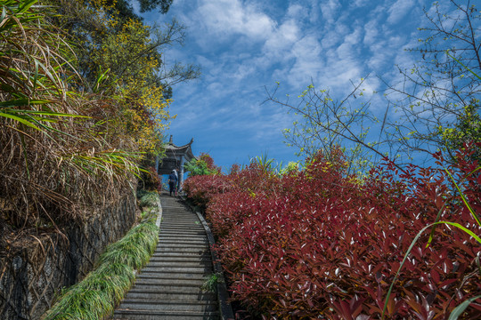 上山步道