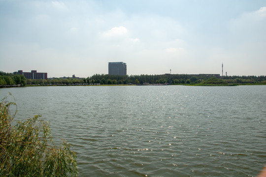 公园人工湖