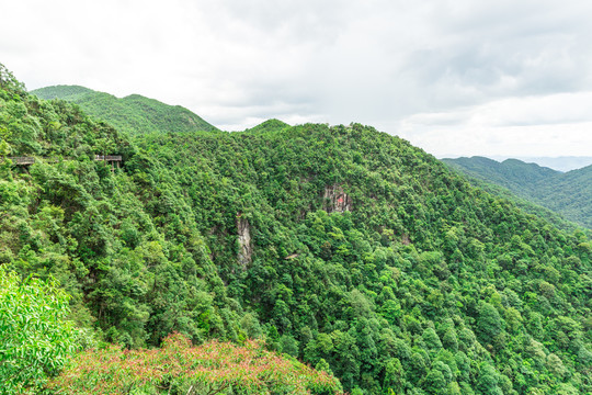 青山