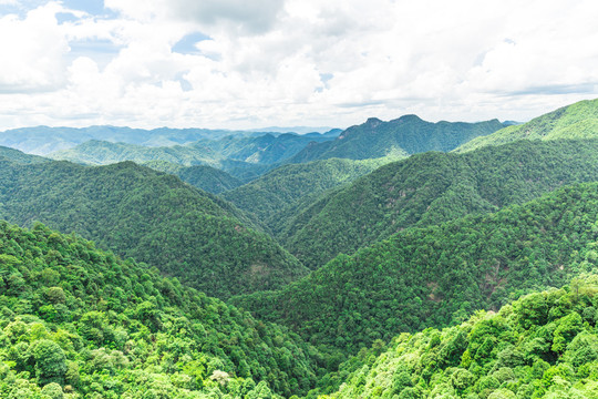 青山