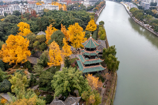 成都地标古建筑望江楼