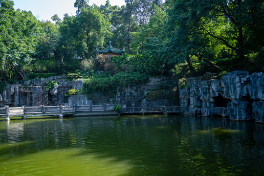 重庆渝中区鹅岭公园