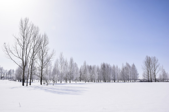 新疆伊犁昭苏冬季风景