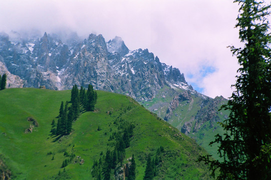 山景