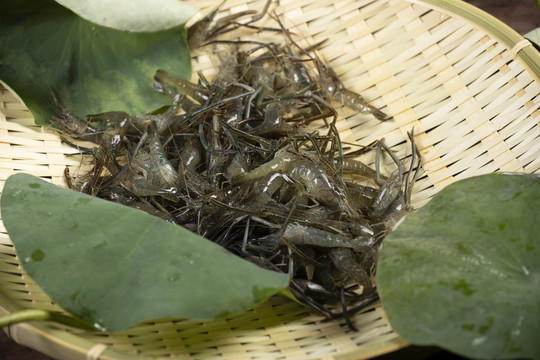 超市生鲜河虾