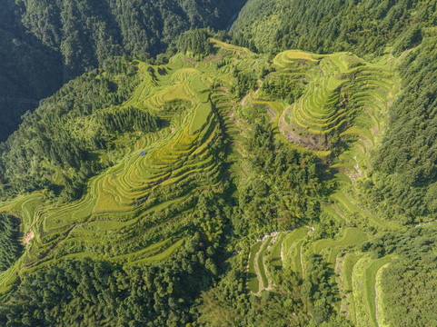 加榜梯田