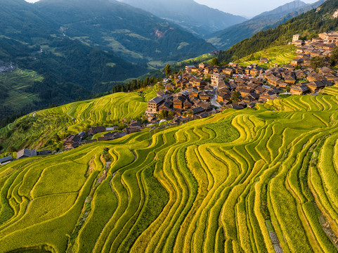 加榜梯田