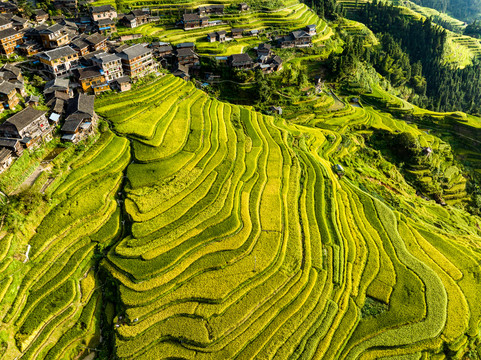 加榜梯田