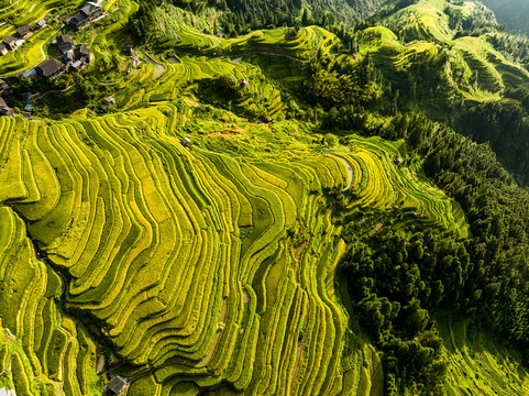 加榜梯田