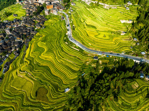 加榜梯田