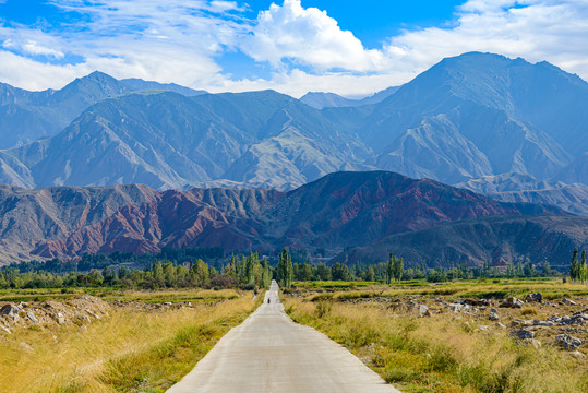 祁连山下道路