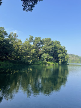 绿色的湖岸