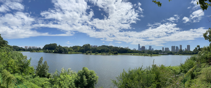 蓝天白云下的城市全景