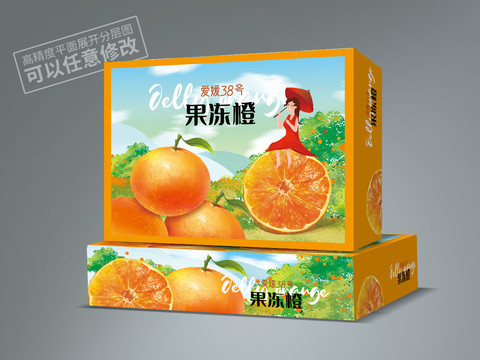 愛媛包裝平面展開圖