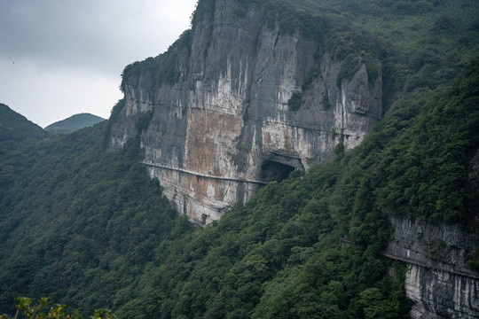 重庆南川区金佛山8