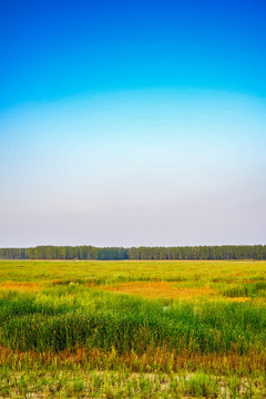 秋日的田野