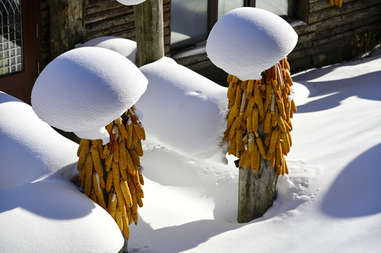 冬天雪乡雪蘑菇雪景
