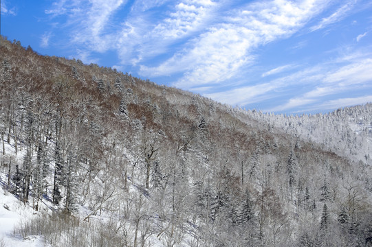 冬天雪屋雪乡雪雪山雪景