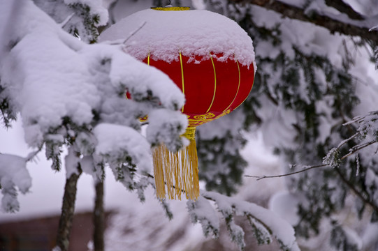 冬天雪屋雪乡雪森林雪蘑菇雪景