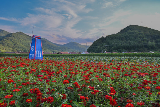 花海田园