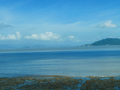 夏日的海