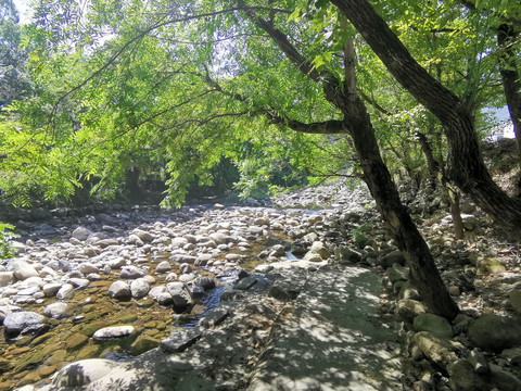 山区干涸的河床