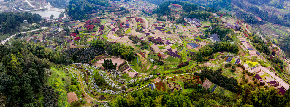 梯田盛景