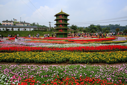 花海