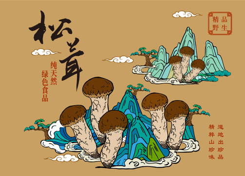 松茸禮盒包裝插畫