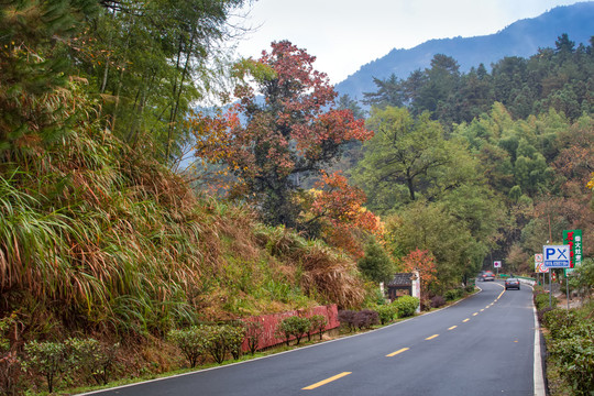 协里村公路