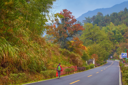 协里村公路