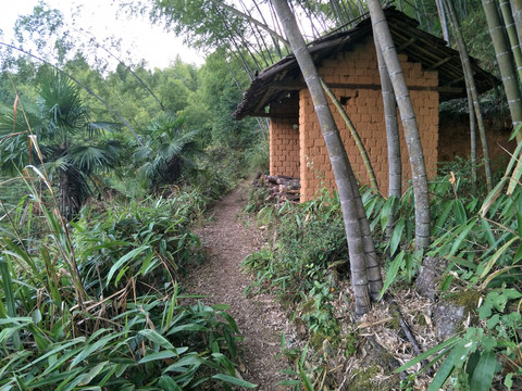 竹林小屋