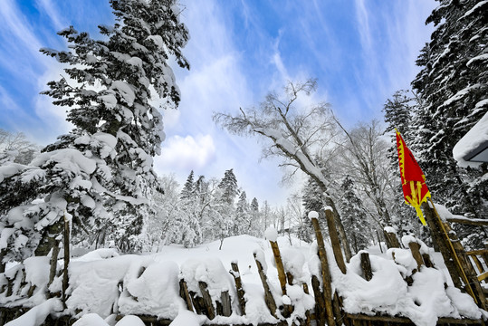 冬天雪屋森林雪地积雪蓝天雪景