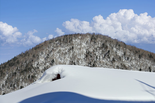 冬天雪屋森林雪地积雪蓝天雪景