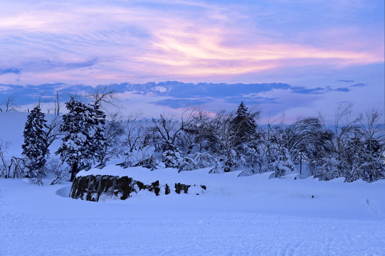 冬天雪屋森林雪地积雪夕阳雪景