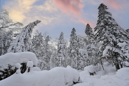 冬天雪屋森林雪地积雪夕阳雪景