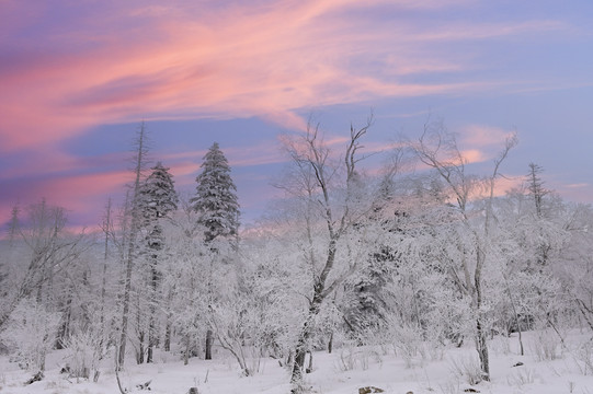 冬天雪屋森林雪地积雪夕阳雪景