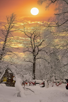 冬天雪屋森林雪地积雪夕阳雪景