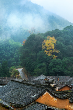 浙江丽水松阳古村落秋色