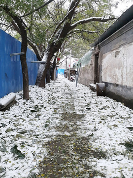 胡同雪景