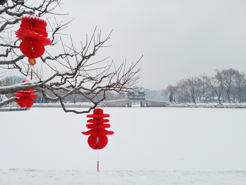 雪景