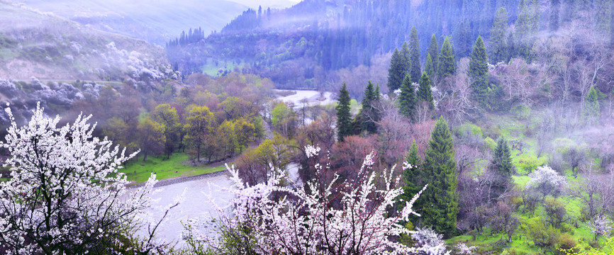 雨雾库尔德宁山谷